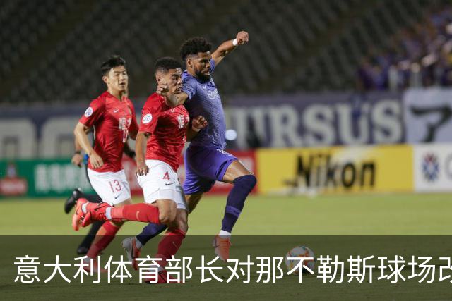 意大利体育部长对那不勒斯球场改造项目充满信心