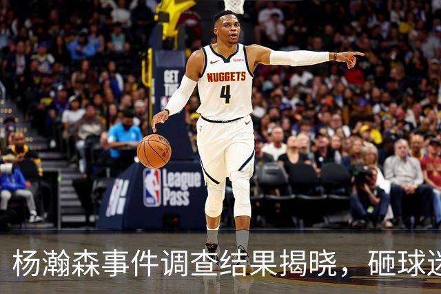 杨瀚森事件调查结果揭晓，砸球迷身份成谜，背后原因令人唏嘘